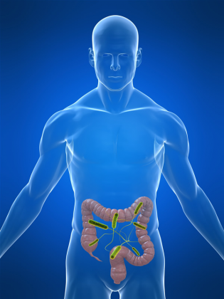 Bacteria E. Coli ca ţap ispăşitor şi cauza reală a